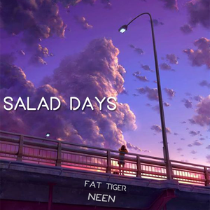 2019天天日天天拍夜夜爽
