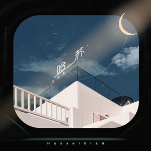 2019天天日天天拍夜夜爽
