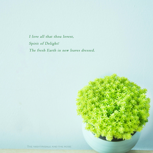 2019天天日天天拍夜夜爽
